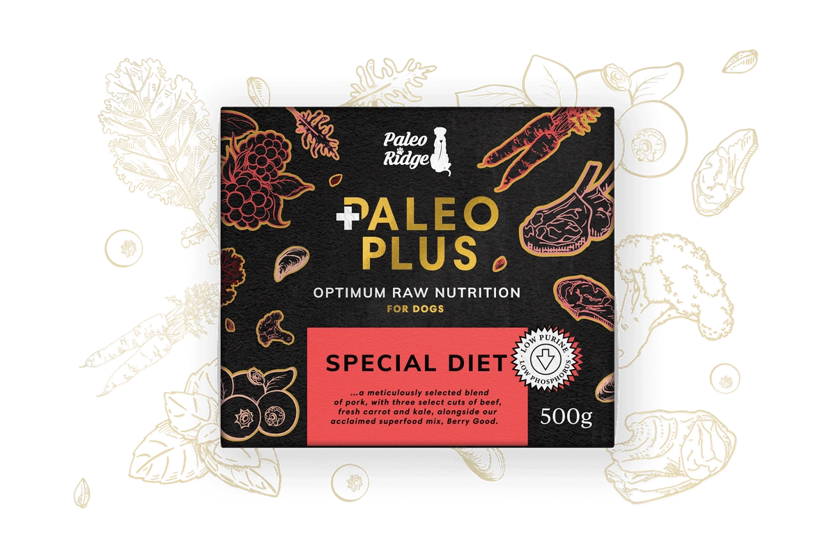 Paleo Ridge Plus Special Diet 500g