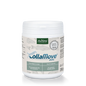 AniForte CollaMove Dog Supplement 250g