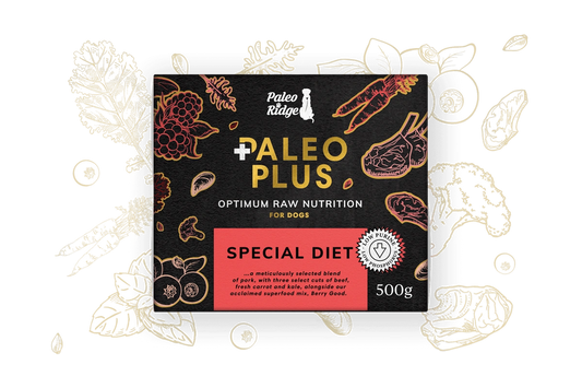 Paleo Ridge Plus Special Diet 500g